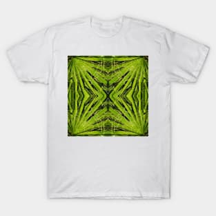 In the PALM of your HAND no. 2 T-Shirt